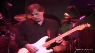 David Gilmour There&#39;s No Way Out Of Here