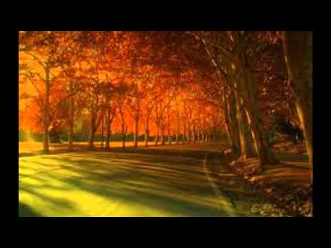 super ratones me muero por vos