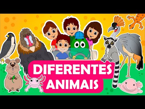 Os Oliveirinhas - Diferentes Animais #18