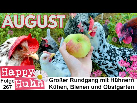 , title : 'Von Hühnerstall bis Beerengarten - Der große Rundgang im August mit Hühnern + Kühen HAPPY HUHN E267'