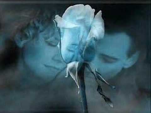 ThaisOliveira582’s Video 45018287022 AEgQVgv9m4U