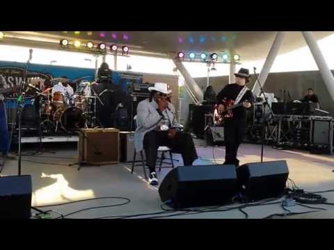 Big George Brock and Matt "The Rattlesnake" Lesch - Still A Fool - Bluesweek 2014