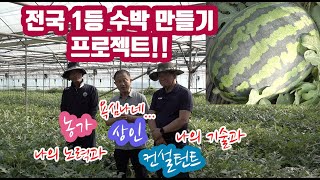 올해 처음으로 대박난 수박!!! 그 속에 숨은 재배, 유통 고수들이 있었다!! 고창수박!!! 수박상인이 욕심…