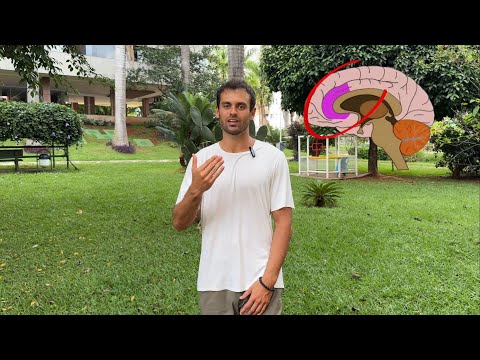 FORÇA DE VONTADE É BALELA (COMO SE MOTIVAR DE VERDADE C/ NEUROCIÊNCIA)