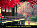 SARAI - Kayama Yuzo & ShinjiTanimura - サライ ...