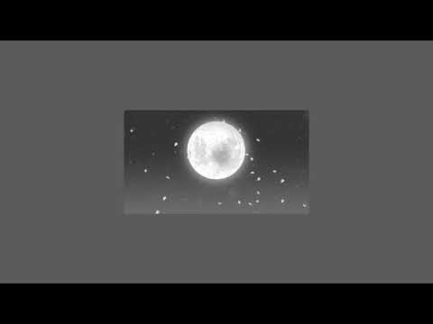 sun & moon / empty arena