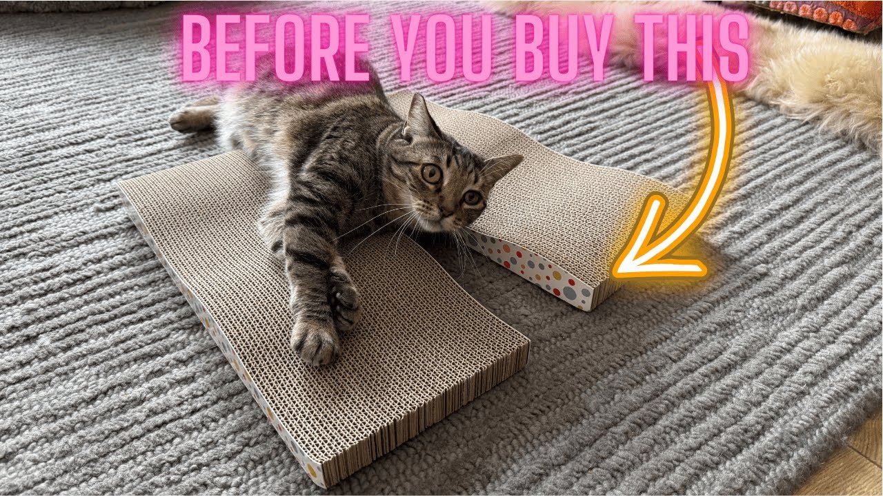 Large Wide Cat Scratching Board (2-Pack) | Durable Double-Sided Scratch Pad with Catnip