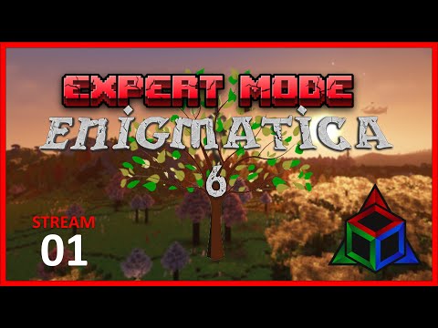 Enigmatica 6 EXPERT Mode - Day 1 Stream VOD
