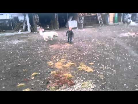 Eric la Babeni Vâlcea(1)