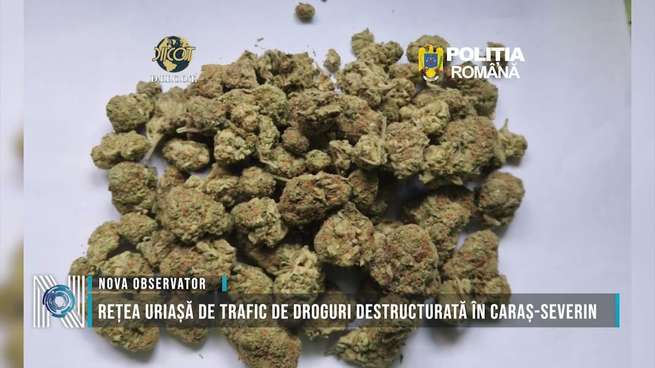 Rețea uriașă de trafic de droguri destructurată în Caraș-Severin