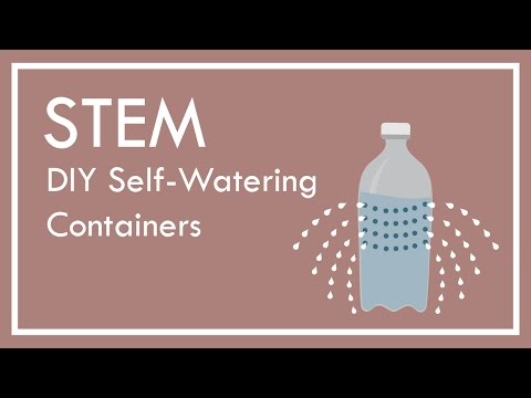 STEM applied knowledge in real world experience