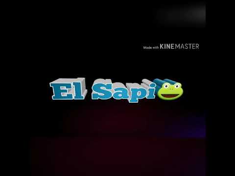 Un perro en una moto! Esto es Paraguay karnal :v