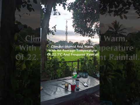 Tena city climate