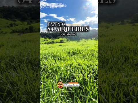 FAZENDA 84 ALQUEIRES JOAÍMA-MG R$ 3 MILHÕES #fazenda #mercadoagricola #agro #minasgerais