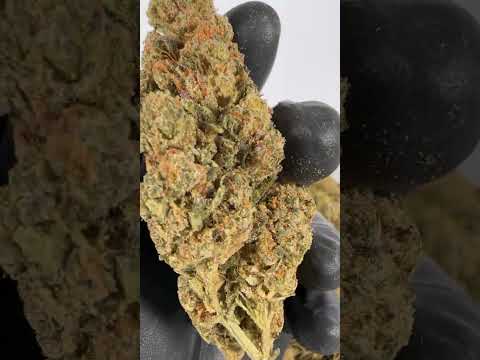 CBD White Widow - Cannabis Legale - Crystalweed