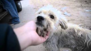 To Save a Life is  to Save a World: Saving Lives South of the Border