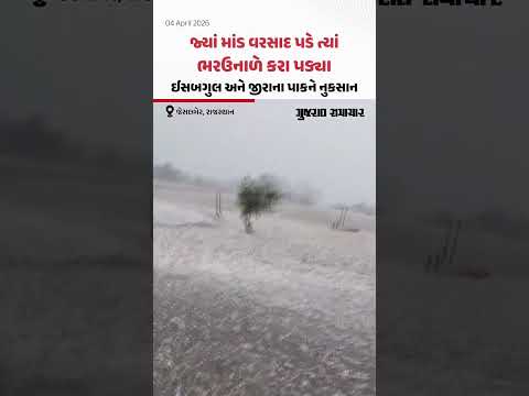 Rajasthan માં ભરઉનાળે વરસાદ! Jaisalmer માં કરા પડતાં ખેડૂતોને ભારે નુકસાન | Gujarat Samachar