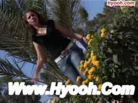 Taj Albaroudi nadia barkania 2009