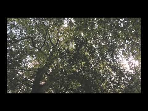 Ewan D. Rodgers // Poor Wayfaring Stranger