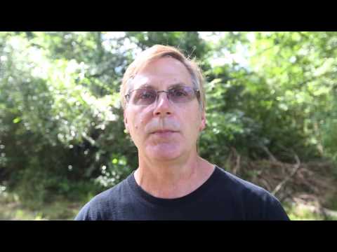 Bit by a copperhead? This is what you do.