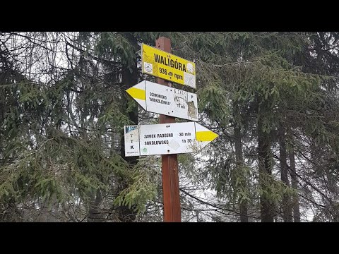 Waligóra 936 m n.p.m (Korona Gór Polski)