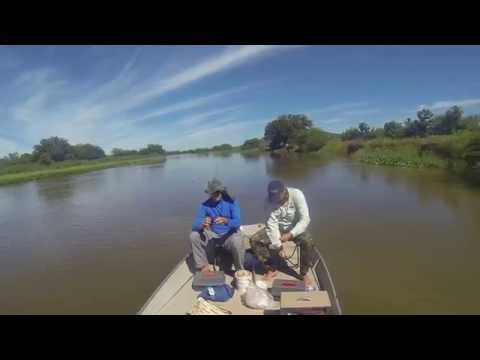 Equipe Oestefishing. Artur pega um piau 3 pintas.