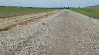 Killdeer and broken wings