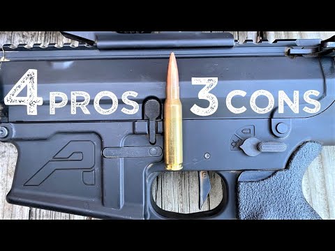 308 WIN: 4 Reasons You NEED One 3 Reasons You Don't