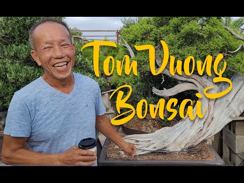 Bonsai Tour of one of the best Yamadori collectors - Tom Vuong