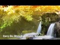 Carry On Olivia Holt Audio