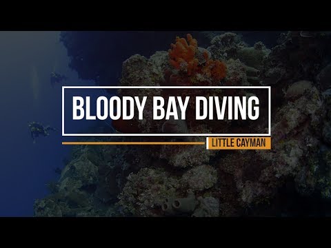 Bloody Bay Diving