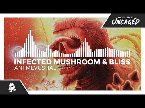 Infected Mushroom & Bliss - Ani Mevushal [Monstercat Release]