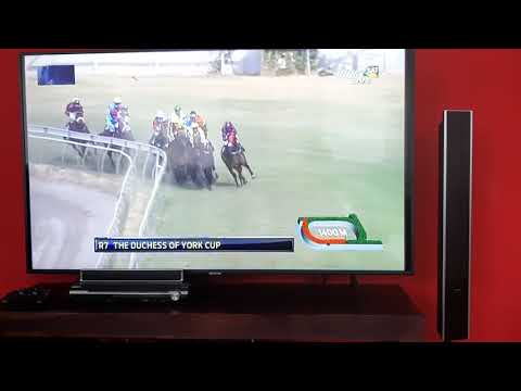 THE DUCHESSE OF YORK CUP 2020 - ESHAAN (Rye Joorawon) [GUDJADHUR STABLE]