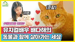 배다해님과 함께 한 에어드랍 인터뷰 - 유기·유실동물 입양캠페인 "나와 가족이 되어주세요"