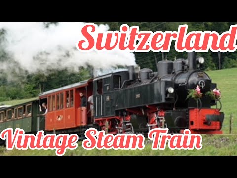 The most beautiful train rides in Switzerland on the Blonay-Chamby#swiss #trains #swissalps