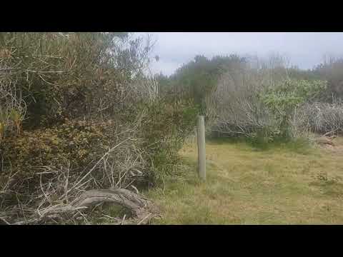 Oceanía del Polonio 29 de noviembre de 2025