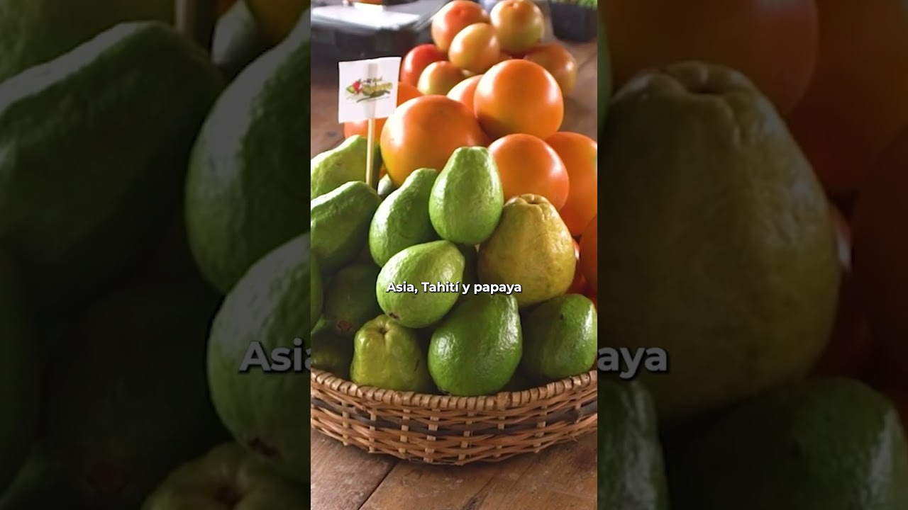 #Sciencevoices de @fontagro: Agricultura Tropical 4.0: gestión eficiente del agua