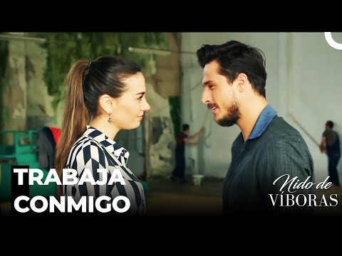 Marido Y Mujer Trabajemos Juntos  - Nido De Víboras