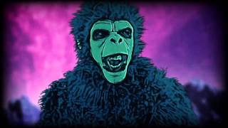 Pig Destroyer - The Diplomat - Official Video 2012