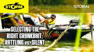 Rattling vs. Silent Crankbaits: HOW TO FISH