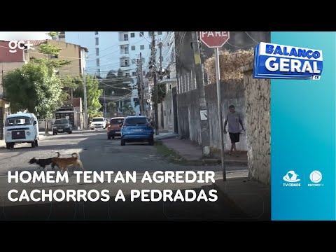 Equipe da TV Cidade flagra homem tentando agredir cachorros a pedradas na rua | Balanço Geral CE