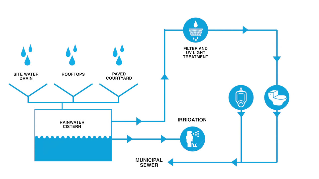 Location & Transportation