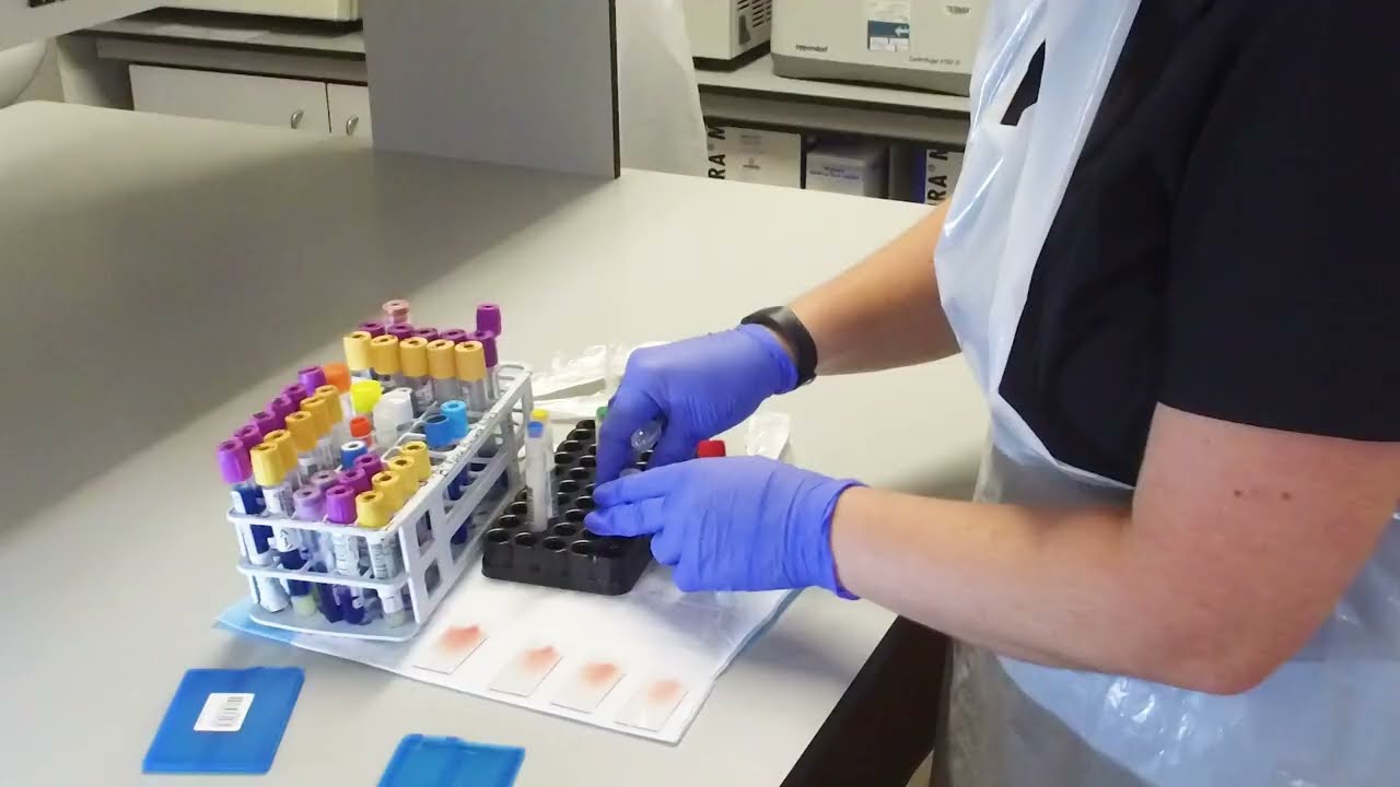 Aotearoa Clinical Trials: Middlemore Site - Walkthrough Video