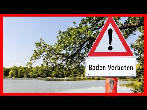 Krebserregende Chemikalie im See: Badeverbot ausgesprochen