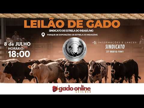 ⭐ 77º LEILÃO MISTO  SINDICATO DOS PRODUTORES RURAIS DE ESTRELA DO INDAIÁ/MG