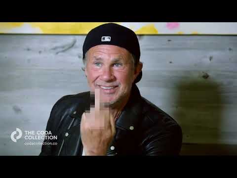 Must Watch Music Documentaries - The Coda Collection