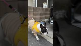 もう待てない！フレブルのくん活が長すぎるので本気の対策を考えてみた
