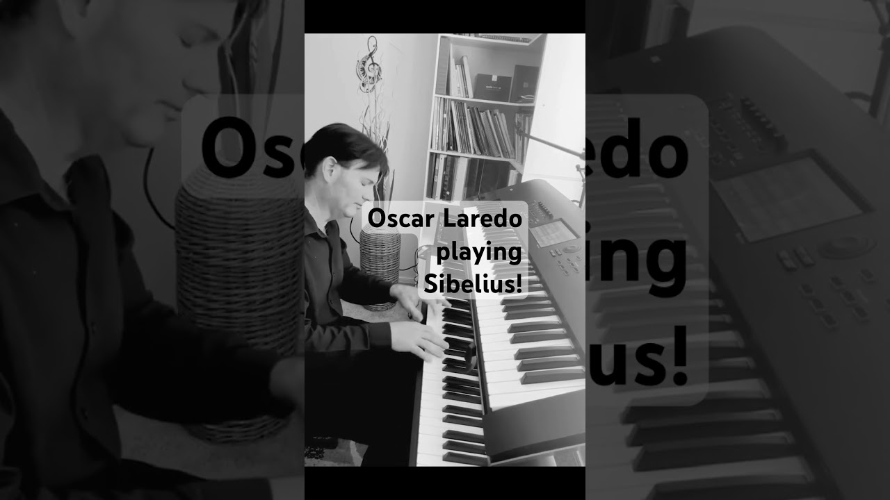Promotional video thumbnail 2 for Oscar Laredo - Multi Musical Genres Keyboard Player