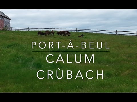 Calum crùbach | Lame Malcolm