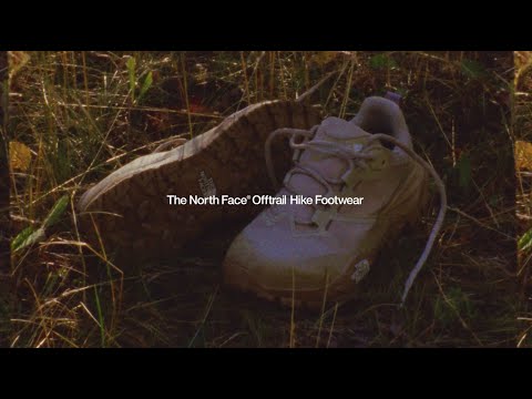 Offtrail Hike GORE-TEX® Shoes